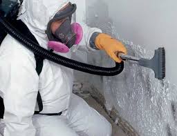 Reliable East Sparta, OH Mold Removal Services Solutions